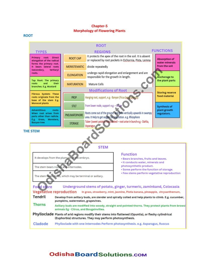 biology chapter 5 notes class 11