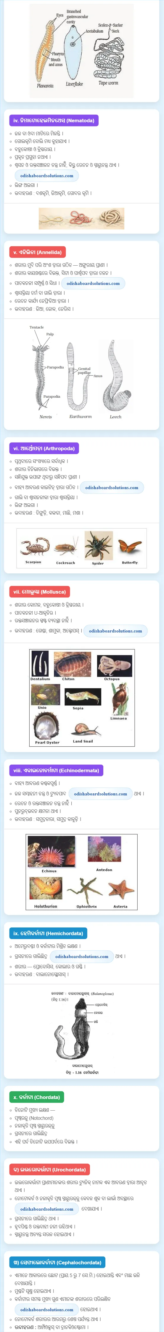 BSE Odisha Class 9 Life Science Chapter 1 Revision Notes