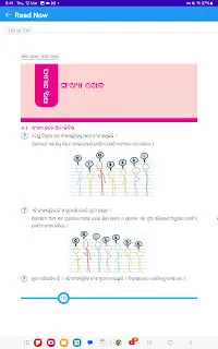 Odia Medium Class 7 Maths Ganita Prakash Chapter 6 Question Answer