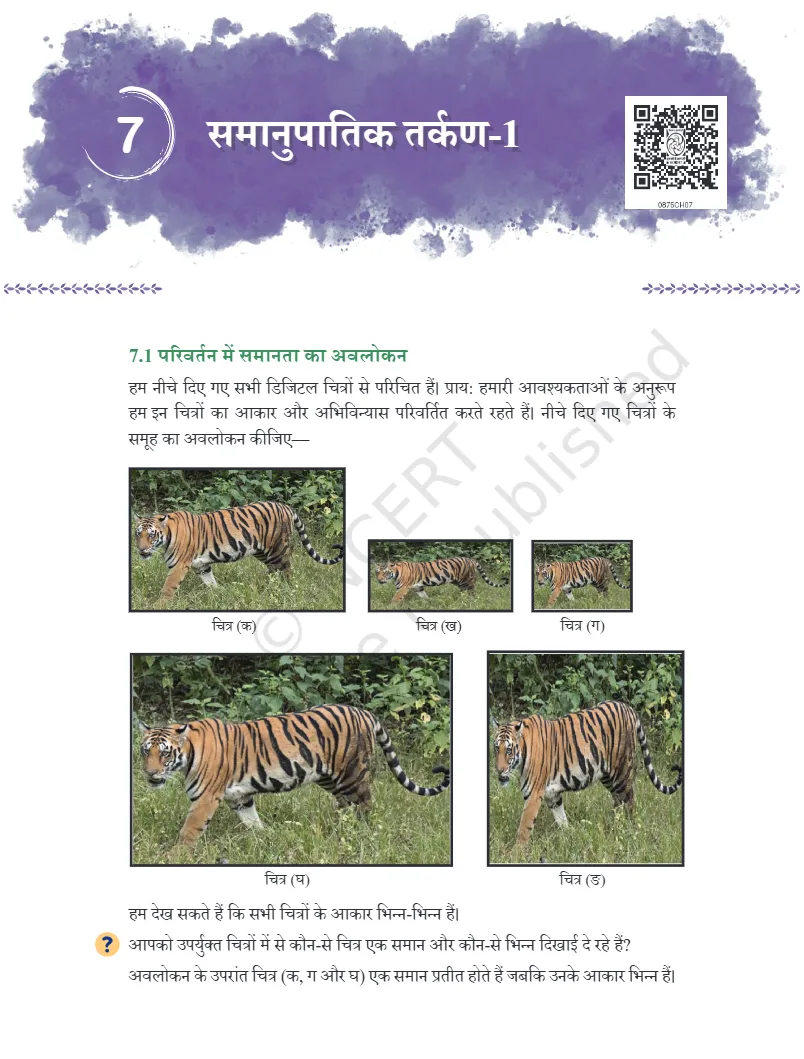 Odia Medium Class 8 Maths Ganita Prakash Chapter 7 Question Answer