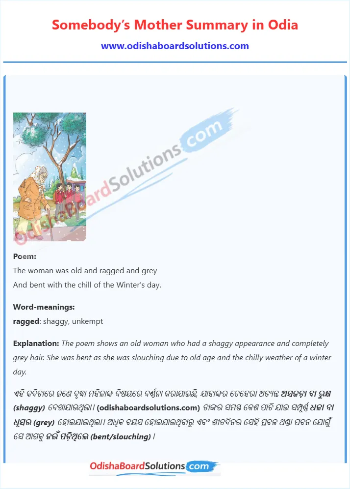 Somebody’s Mother summary in odia