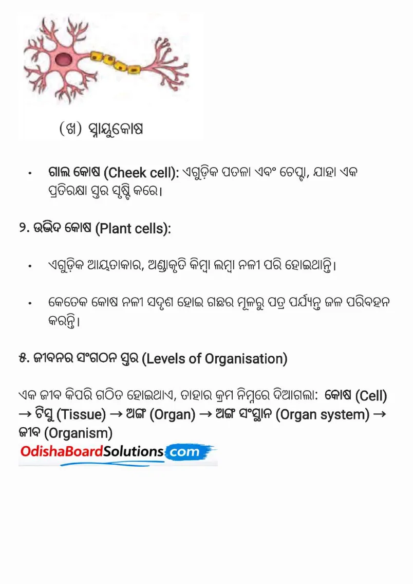Odisha Board Class 8 Science Chapter 2 Revision Notes