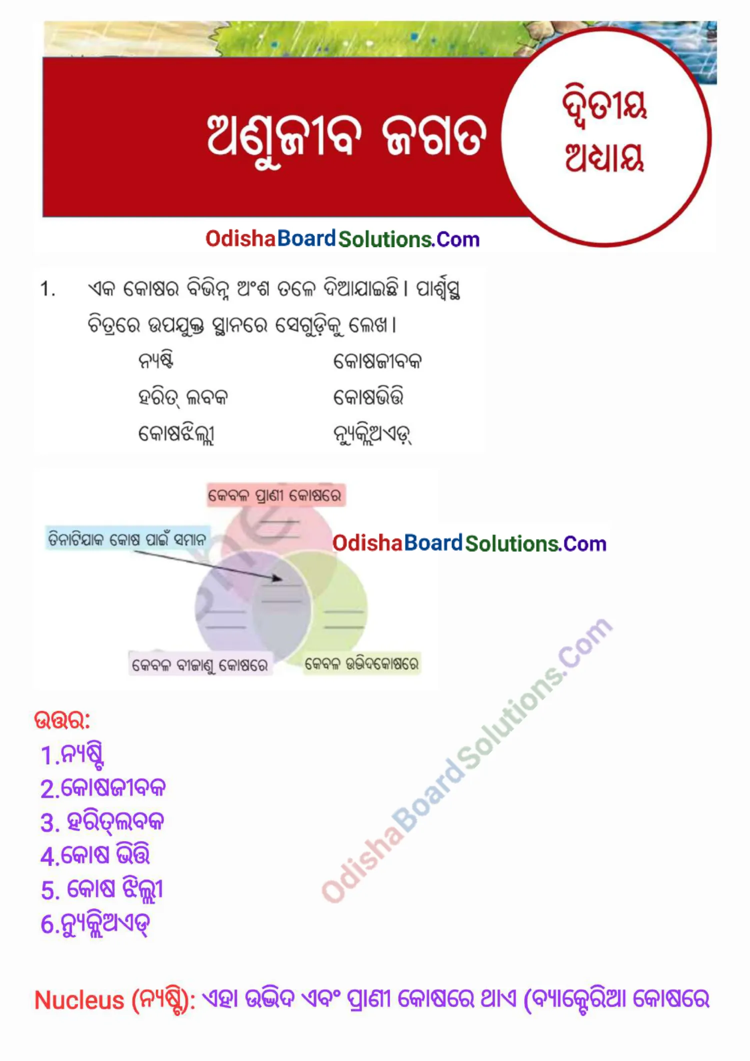Odia Medium Class 8 Science Chapter 2 Question Answer
