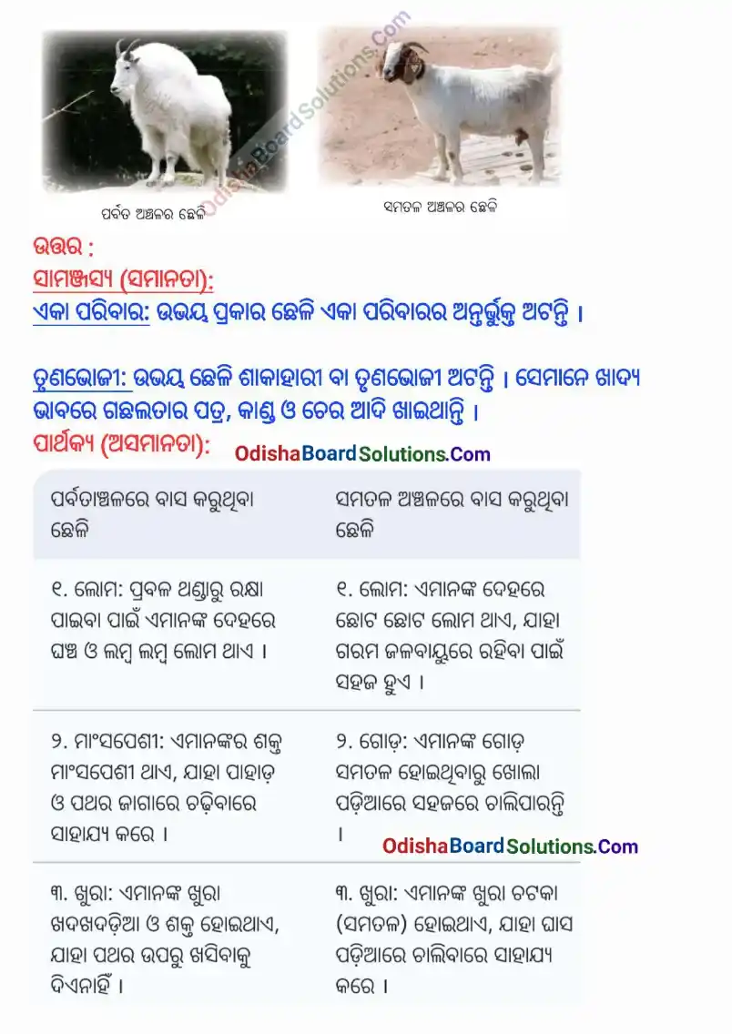 Jibajagatara Bibidhata Class 6 Question Answer