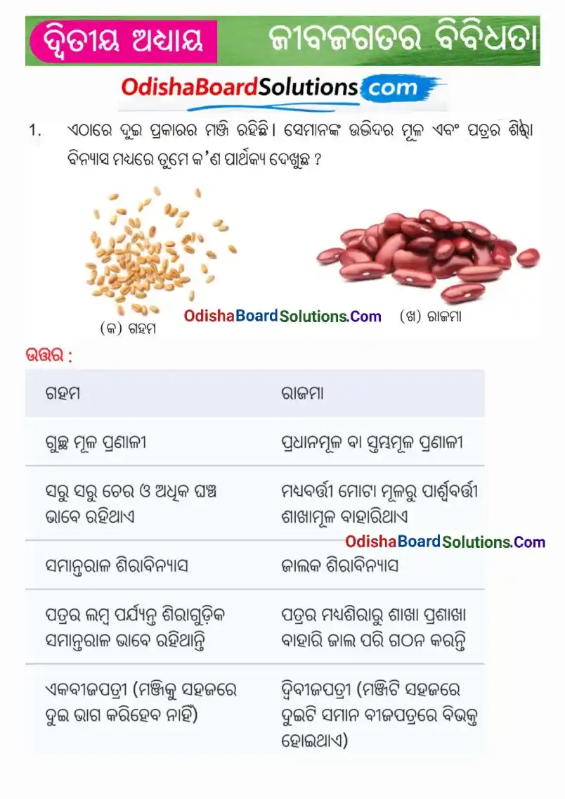 Odia Medium Class 6 Science Chapter 2 Question Answer - Jibajagatara Bibidhata