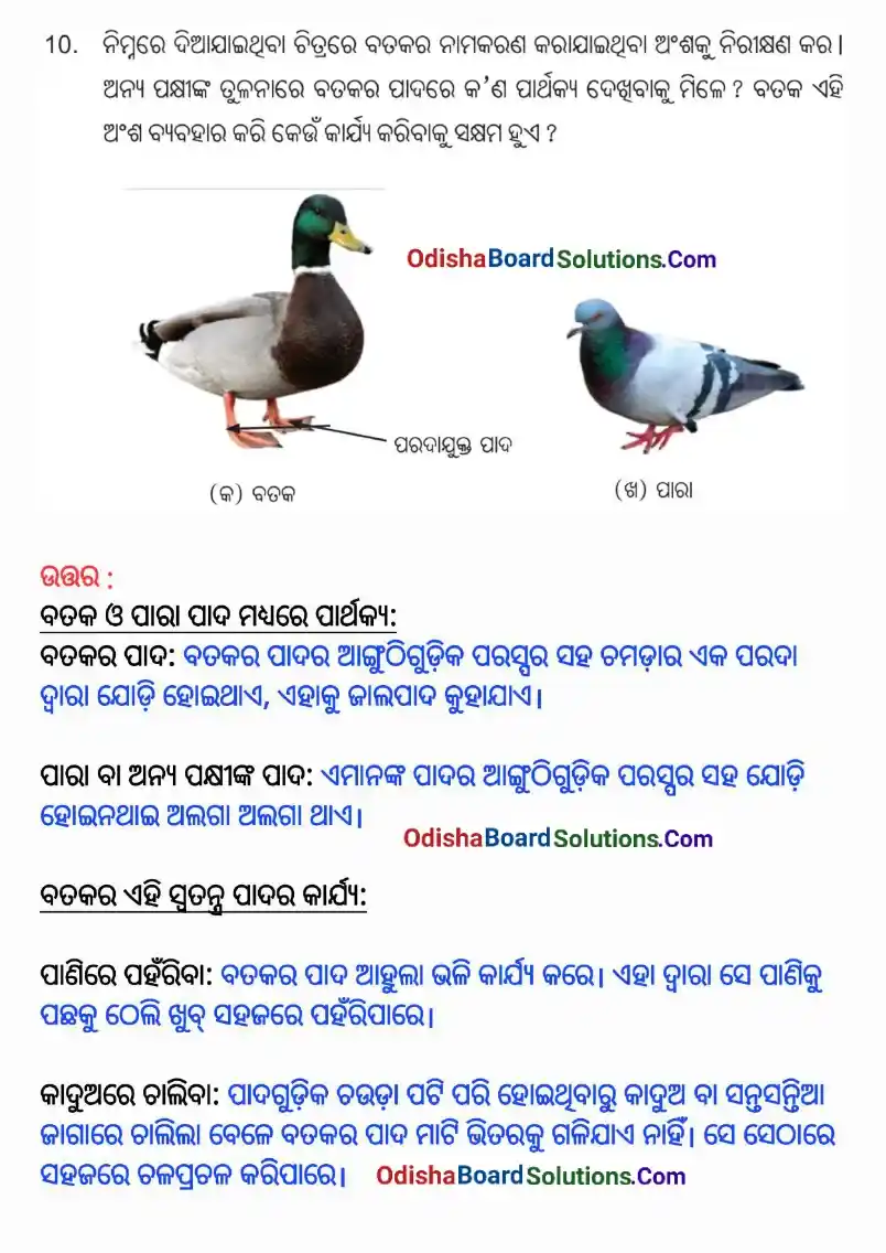 Odia Medium Class 6 Science Chapter 2 Question Answer - Jibajagatara Bibidhata